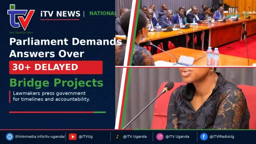 MPs Demand Timelines for More Than 30 Delayed Bridge Projects